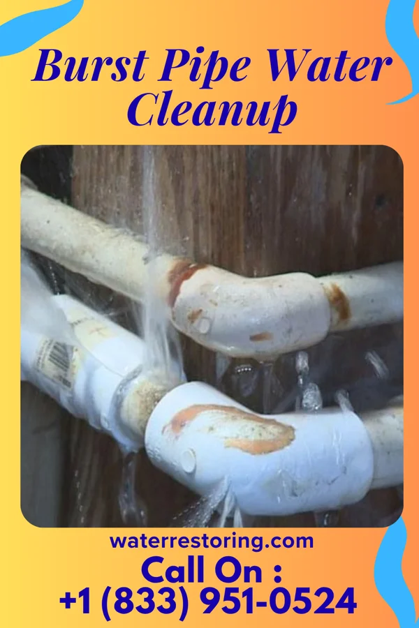 Burst Pipe Water Cleanup in Avoca, WI