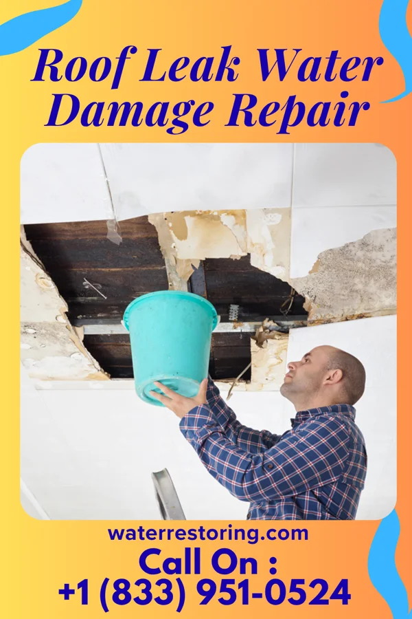 Roof Leak Water Damage Repair in Avoca, WI