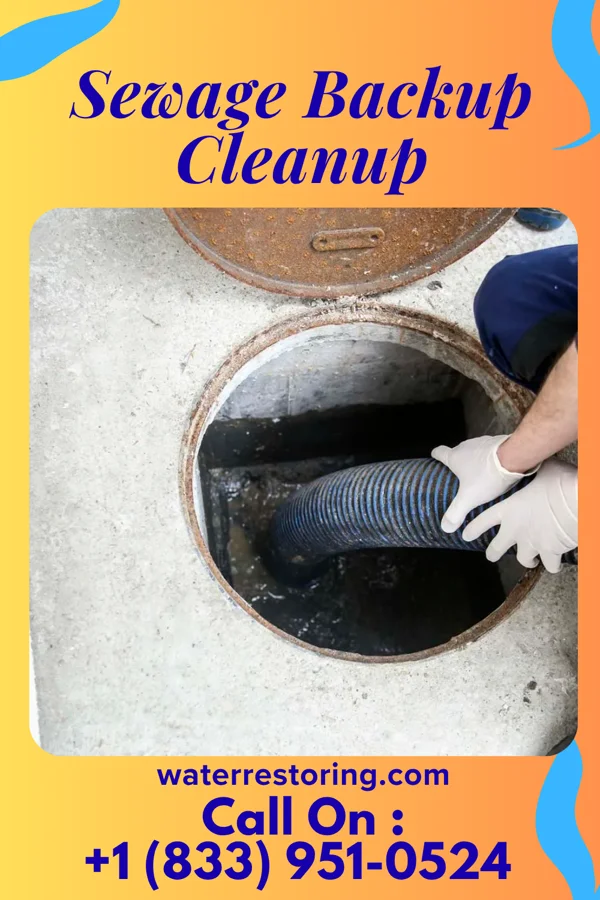 Sewage Backup Cleanup in Avoca, WI