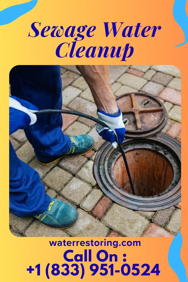 Sewage Water Cleanup in Avoca, WI